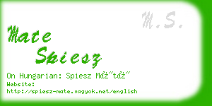 mate spiesz business card